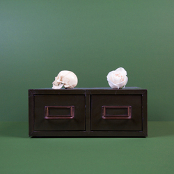 Tropic Of Cancer Archive: The Downwards Singles Vinyl 12" USED