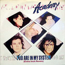 Academy You Are In My System Vinyl 12" USED