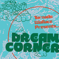 Tornado Wallace Dream Corner Vinyl 12" USED