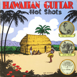 Various Hawaiian Guitar Hot Shots Vinyl LP USED