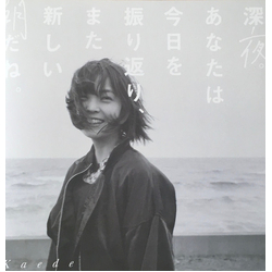Kaede (6) 深夜。あなたは今日を振り返り、また新しい朝だね。 Vinyl 12" USED