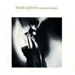 Peter Godwin Emotional Disguise Vinyl 12" USED