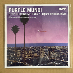 Purple Mundi Stop Hurting Me Baby / I Can't Understand Vinyl 7" USED