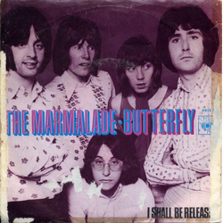 The Marmalade Butterfly Vinyl 7" USED