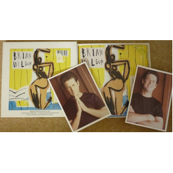 Brian Wilson Love And Mercy Vinyl 7" USED