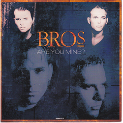 Bros Are You Mine? Vinyl 7" USED