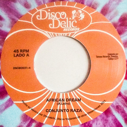 Conjunto Raza / The Scepters (2) African Dream / Message Vinyl 7" USED