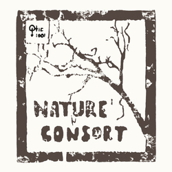 Nature's Consort Nature's Consort Vinyl LP USED