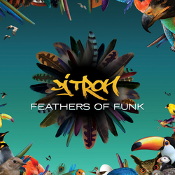 DJ Tron (5) Feathers Of Funk Vinyl LP USED