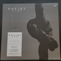 Davids Lyre In Arms EP Vinyl 12" USED