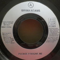 Bryan Adams Please Forgive Me Vinyl 7" USED