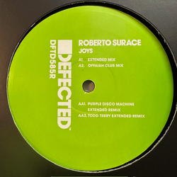 Roberto Surace Joys Vinyl 12" USED