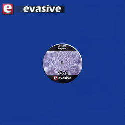 Lovable Rogues Integer Vinyl 12" USED