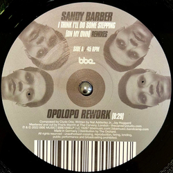 Sandy Barber I Think I'll Do Some Stepping (On My Own) (Remixes) Vinyl 12" USED