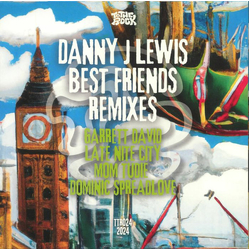 Danny J Lewis Best Friends (Remixes) Vinyl 12" USED
