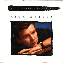 Rick Astley Never Gonna Give You Up Vinyl 7" USED
