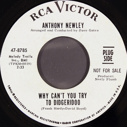 Anthony Newley Why Can't You Try To Didgeridoo Vinyl 7" USED