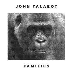 John Talabot Families Vinyl 12" USED