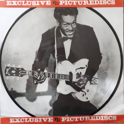 Chuck Berry Baby Doll Vinyl LP USED