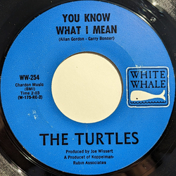 The Turtles You Know What I Mean / Rugs Of Woods & Flowers Vinyl 7" USED