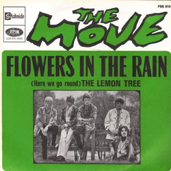 The Move Flowers In The Rain Vinyl 7" USED