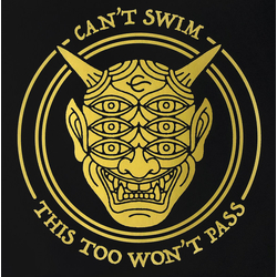 Can't Swim This Too Won’t Pass Vinyl LP USED