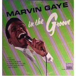 Marvin Gaye In The Groove Vinyl LP USED
