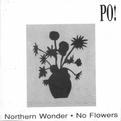 Po! (2) Northern Wonder / No Flowers Vinyl 7" USED