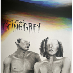 The Front Bottoms Going Grey Vinyl LP USED