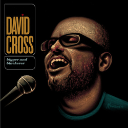 David Cross (2) Bigger And Blackerer Vinyl LP USED