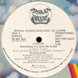 Flashlight (2) I Can Be (Everything You Want Me To Be) Vinyl 12" USED