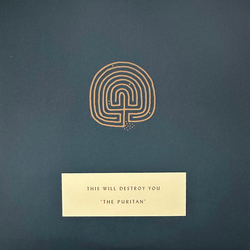 This Will Destroy You The Puritan Vinyl 7" USED