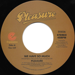 Pleasure (4) We Have So Much / Joyous Vinyl 7" USED