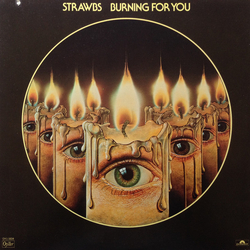 Strawbs Burning For You Vinyl LP USED