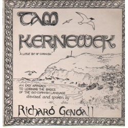 Richard Gendall Tam Kernewek - A Little Bit Of Cornish Vinyl LP USED