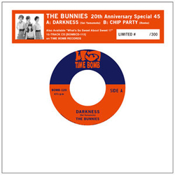 The Bunnies Darkness Vinyl 7" USED