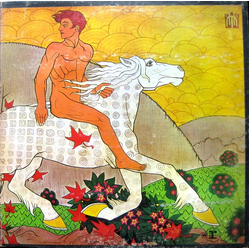 Fleetwood Mac Then Play On Vinyl LP USED