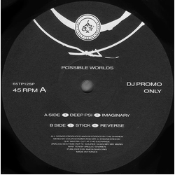 The Shamen Possible Worlds Vinyl 12" USED