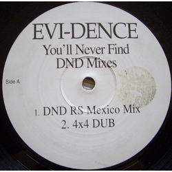 Evi-Dence You Will Never Find (D'n'D Mixes) Vinyl 12" USED