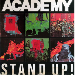 Academy Stand Up! Vinyl 12" USED