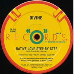 Divine Native Love Step By Step Vinyl 12" USED