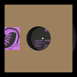 Jura Soundsystem Remix Special Vinyl 12" USED