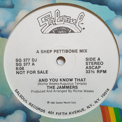The Jammers And You Know That Vinyl 12" USED