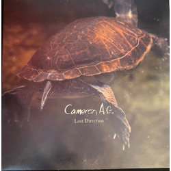 Cameron AG Lost Direction Vinyl 7" USED
