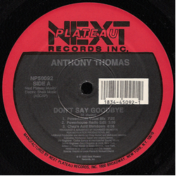 Anthony Thomas Don't Say Goodbye Vinyl 12" USED