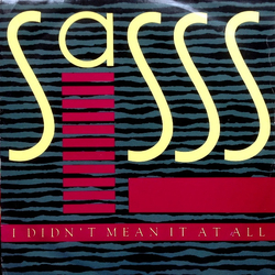 Sasss I Didn't Mean It At All Vinyl 12" USED