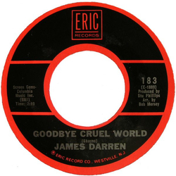 James Darren Goodbye Cruel World Vinyl 7" USED