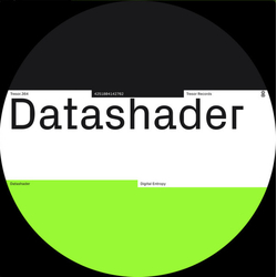 Datashader Digital Entropy Vinyl 12" USED
