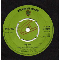 Honeybus For You Vinyl 7" USED