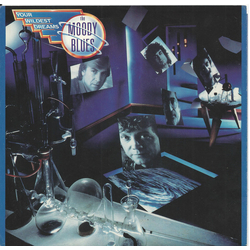 The Moody Blues Your Wildest Dreams Vinyl 7" USED